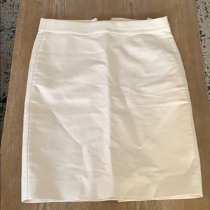 J. Crew Skirt